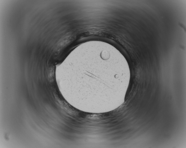 X0000099430082200806061030