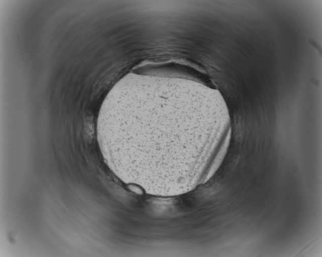 X0000099430085200806061030