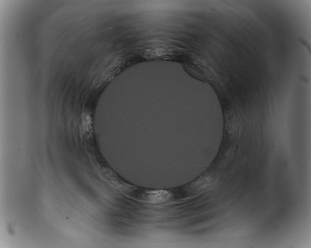 X0000099430087200806061030