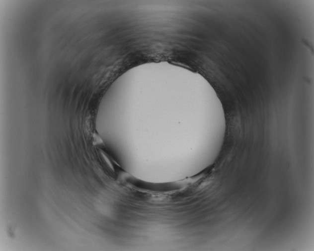 X0000099430088200806061030