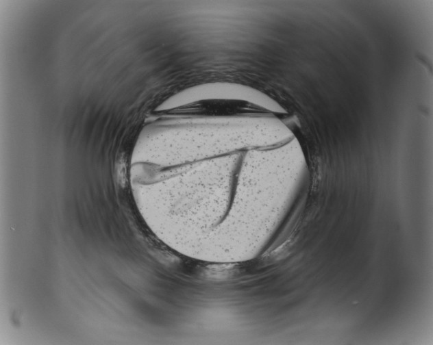 X0000099430090200806061030