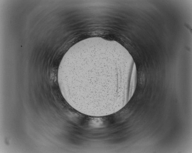 X0000099430091200806061030