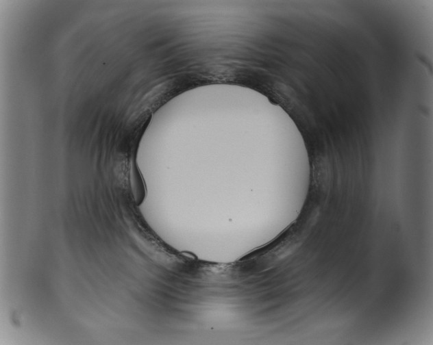 X0000099430092200806061030