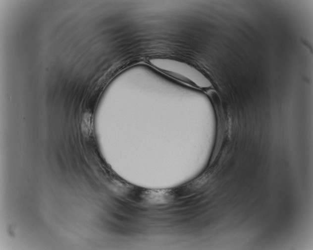 X0000099430093200806061030