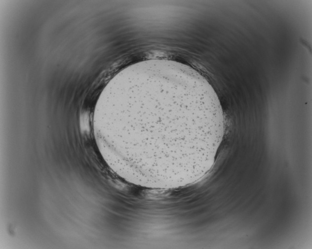 X0000099430094200806061030