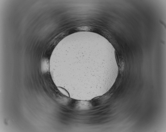 X0000099430095200806061030