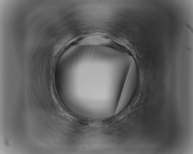 X0000099430097200806061029