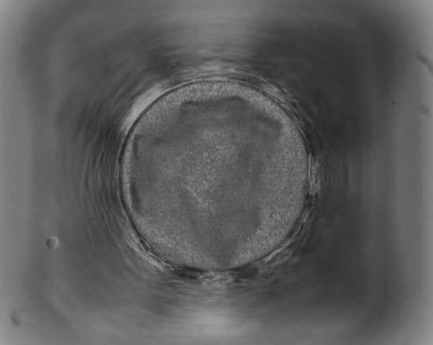 X0000099430099200806061029