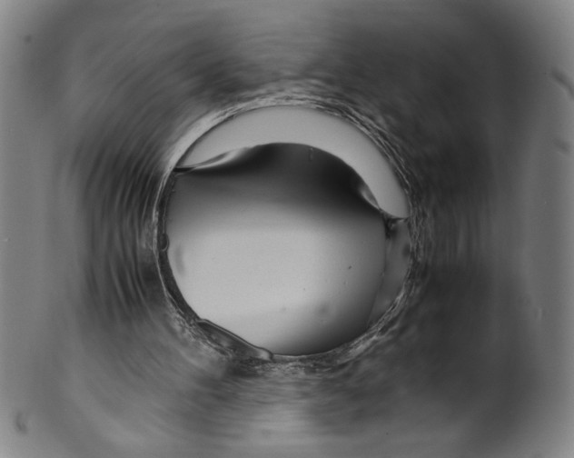 X0000099430100200806061029