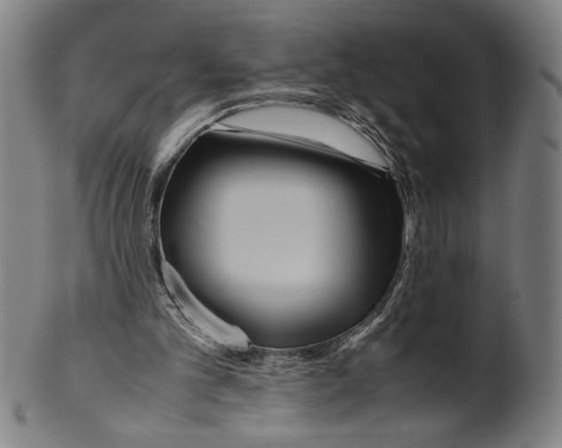 X0000099430101200806061029