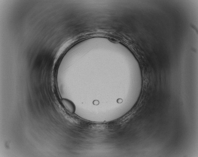 X0000099430102200806061029