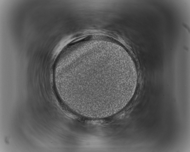 X0000099430103200806061029