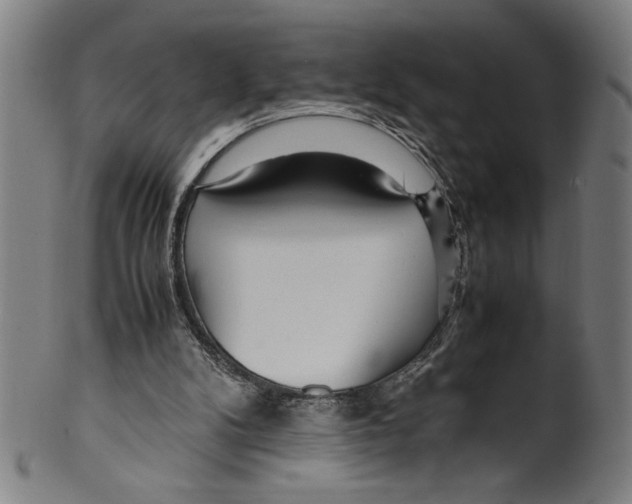 X0000099430104200806061029