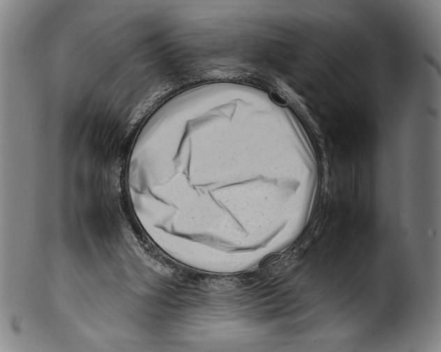 X0000099430106200806061029