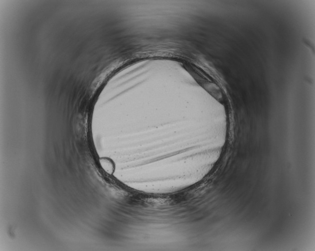 X0000099430107200806061029