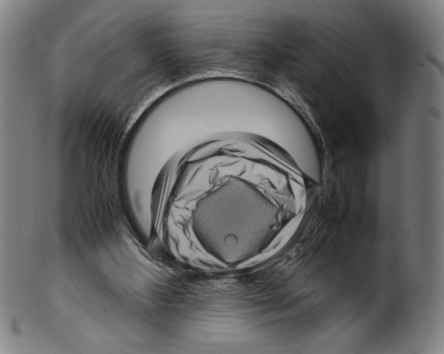 X0000099430108200806061029