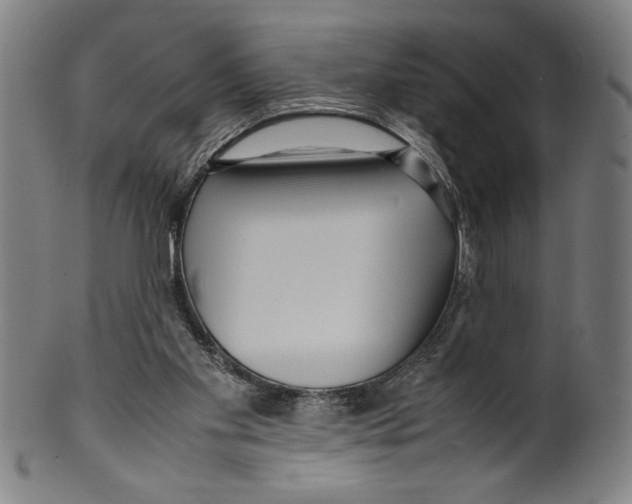 X0000099430109200806061029