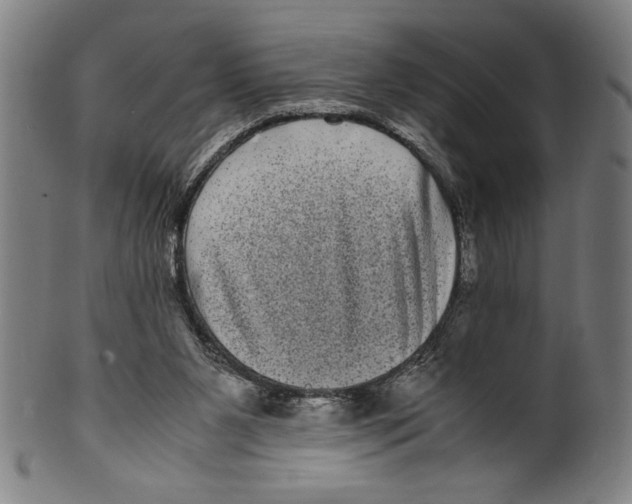 X0000099430111200806061029