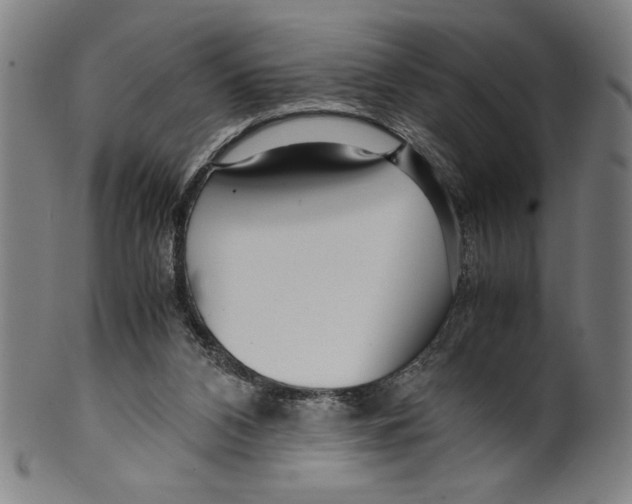 X0000099430112200806061029