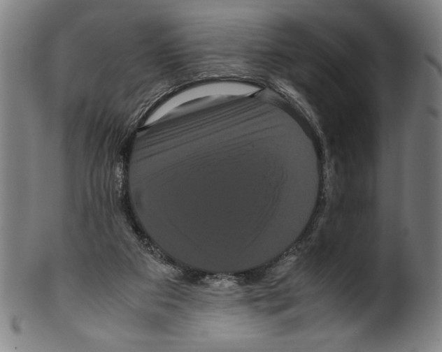 X0000099430113200806061029