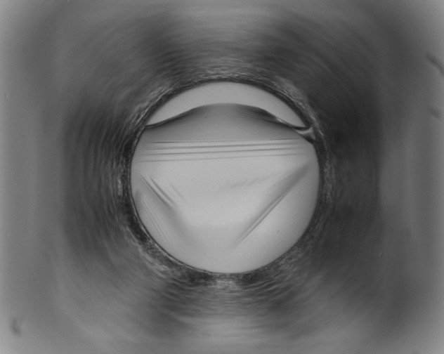 X0000099430114200806061029