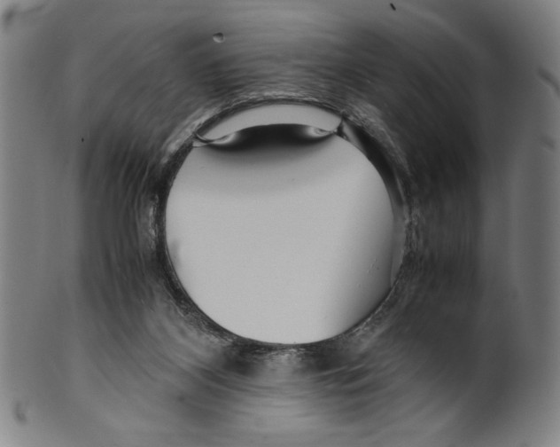 X0000099430116200806061029