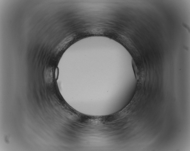 X0000099430120200806061029