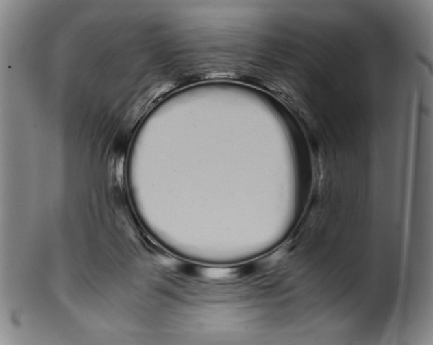 X0000099430123200806061029