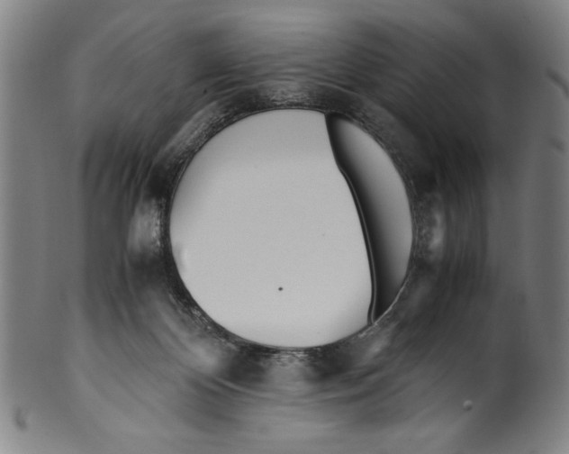 X0000099430124200806061029