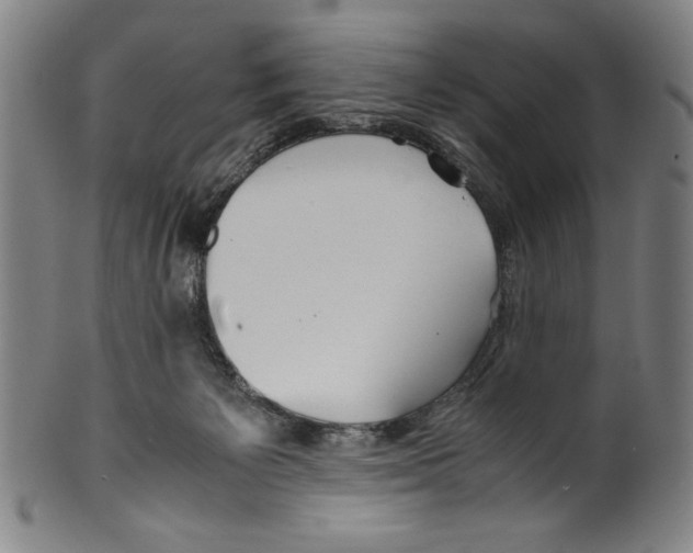 X0000099430125200806061029