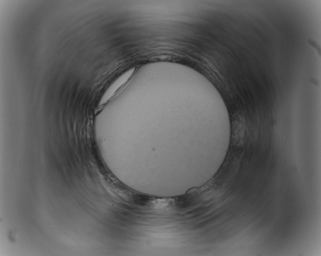 X0000099430126200806061029