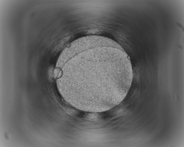 X0000099430127200806061029