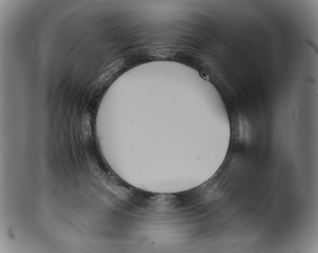 X0000099430128200806061029