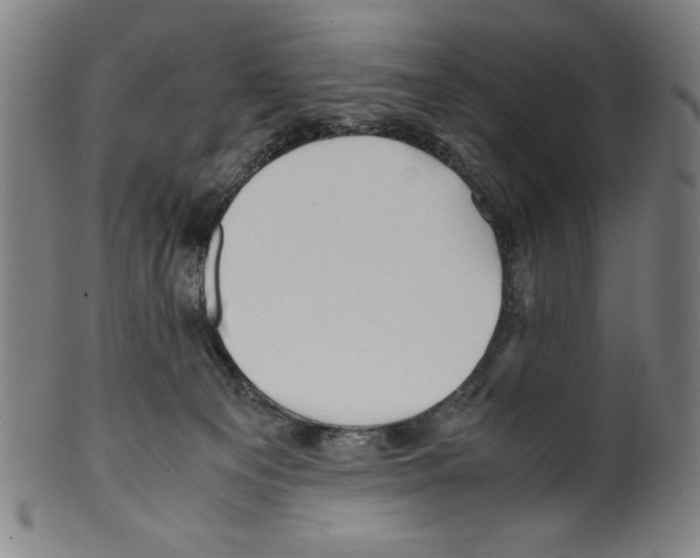 X0000099430129200806061029