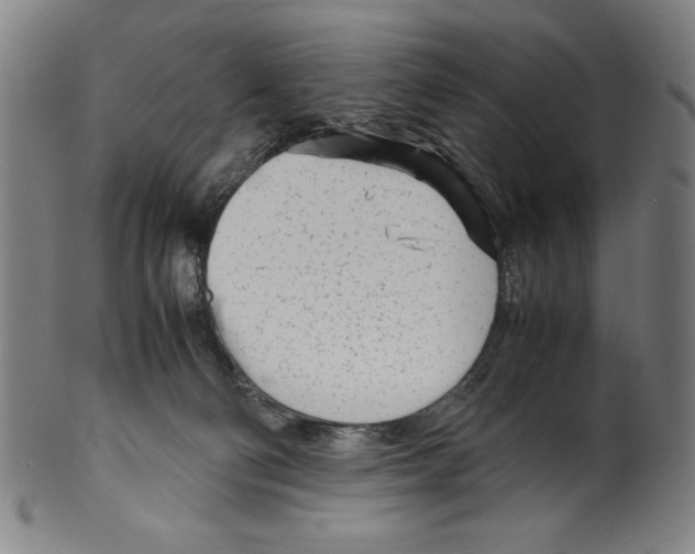 X0000099430130200806061029