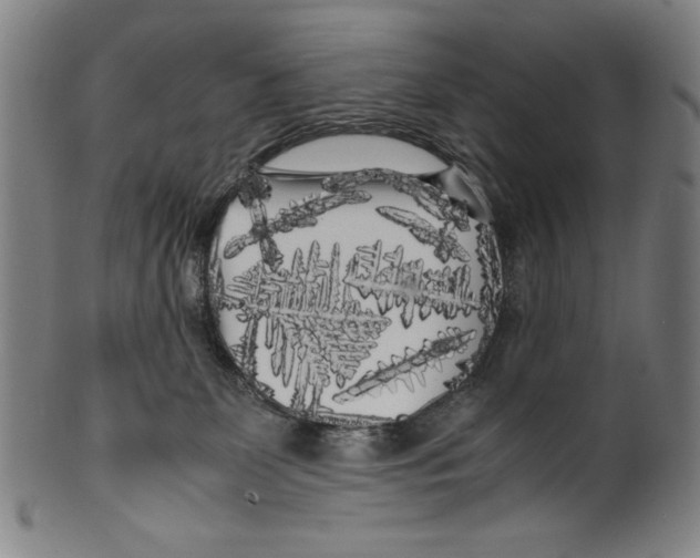 X0000099430131200806061029