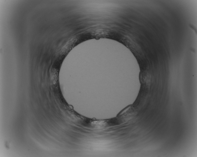 X0000099430133200806061029