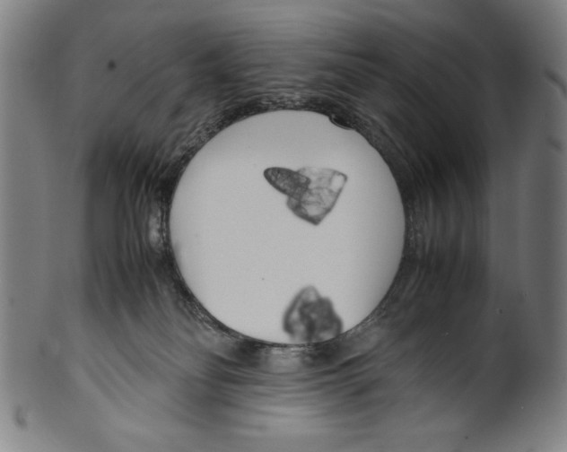 X0000099430134200806061029