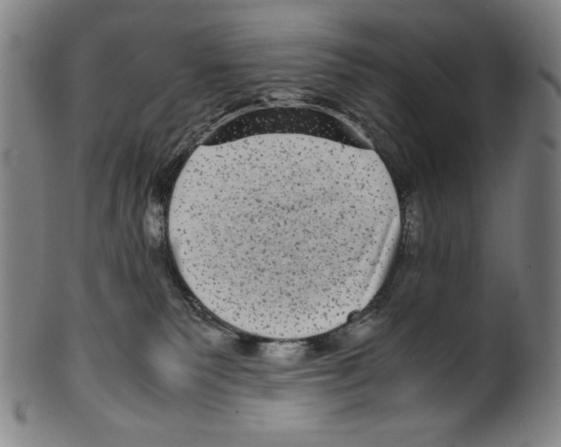 X0000099430135200806061029