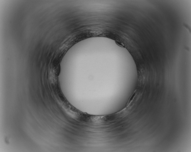 X0000099430136200806061029