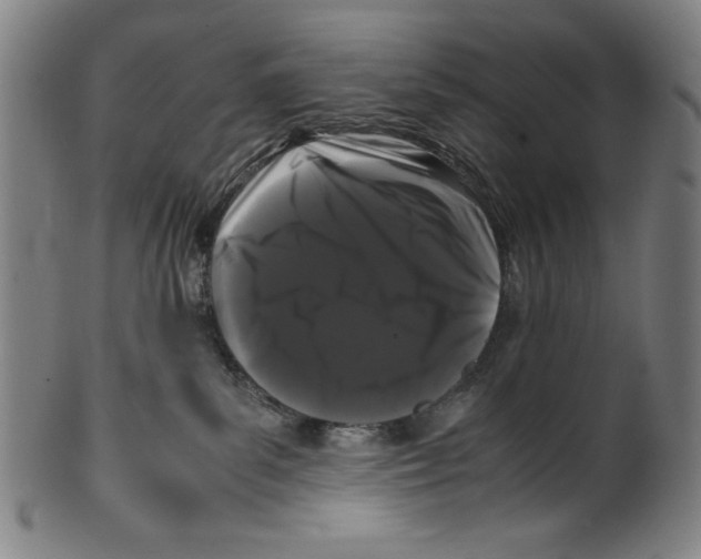 X0000099430139200806061029