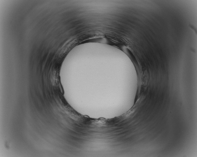 X0000099430140200806061029