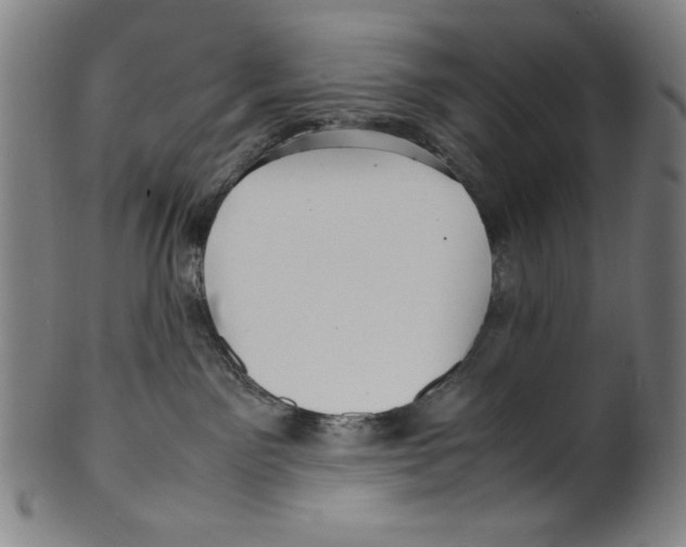 X0000099430141200806061029