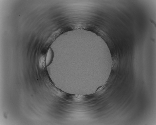 X0000099430142200806061029