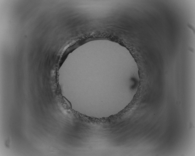 X0000099430144200806061029