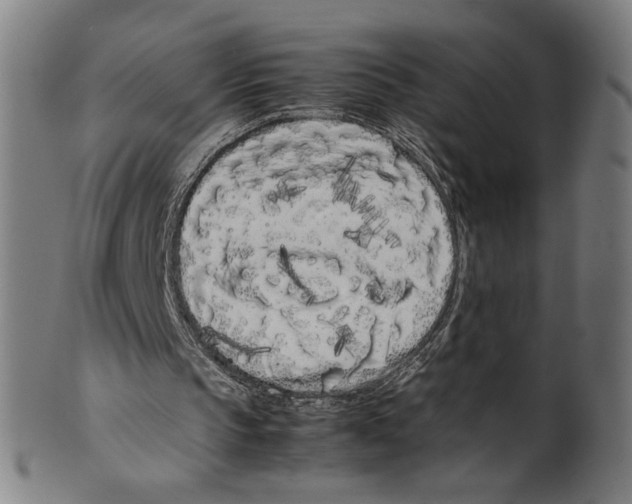 X0000099430145200806061028