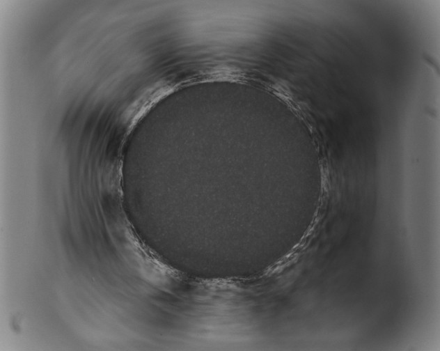 X0000099430146200806061028