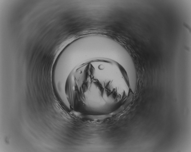 X0000099430148200806061028