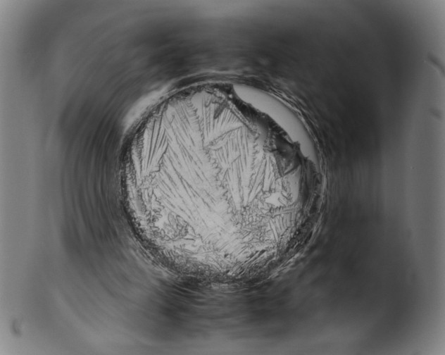 X0000099430149200806061028