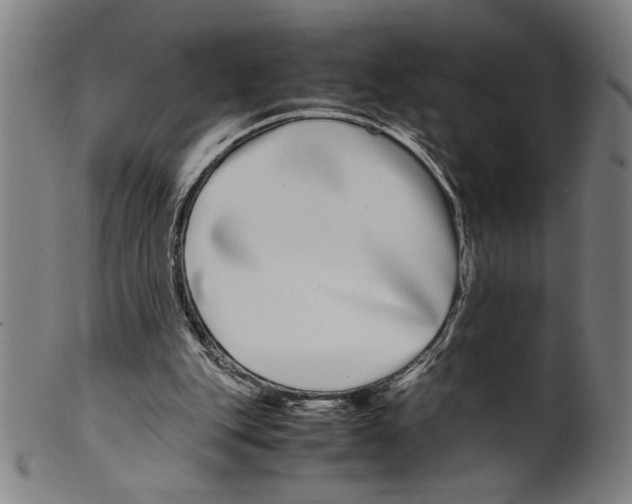 X0000099430151200806061028